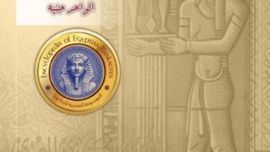 Egyptian Banknotes