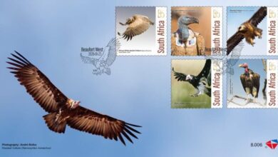 Eagles of Africa… Stamps that preserve environmental memory
