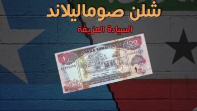 Somaliland Shilling